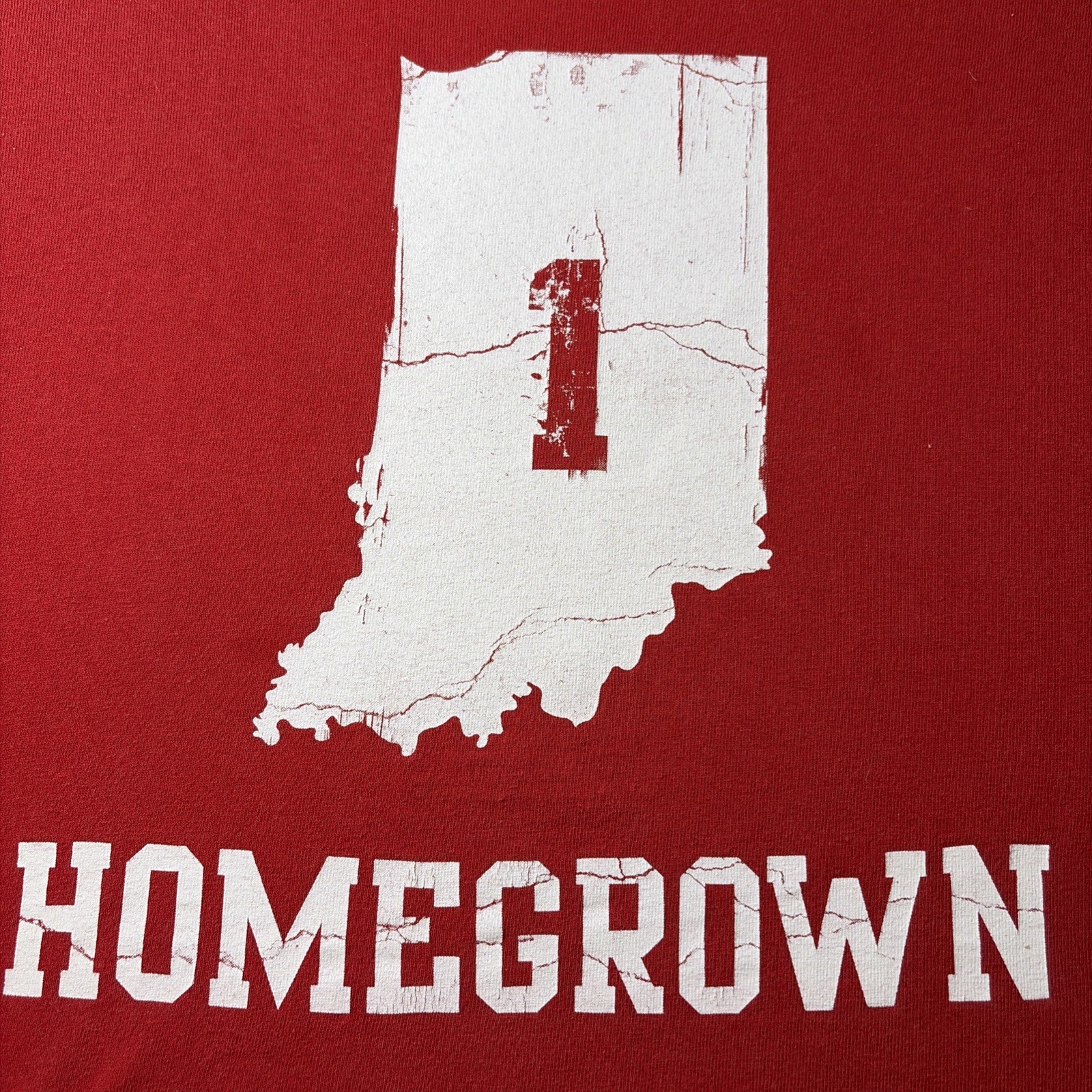 Men’s Haynes 100% Cotton Graphic Print T XXL Indiana Hoosiers Homegrown Shirt